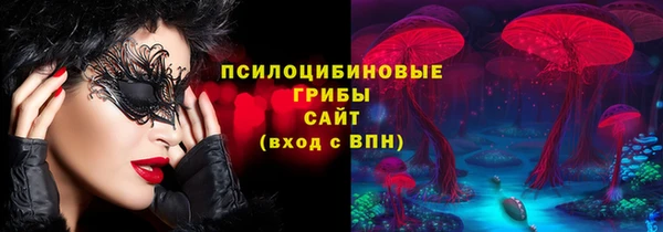 стаф Арсеньев