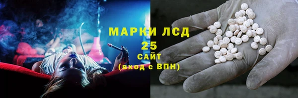 стаф Арсеньев