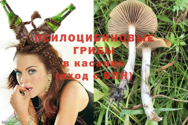 стаф Арсеньев