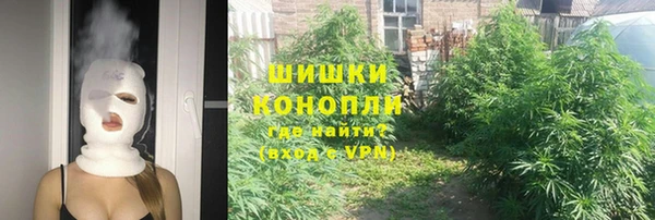 эйфоретик Аркадак