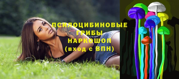 стаф Арсеньев