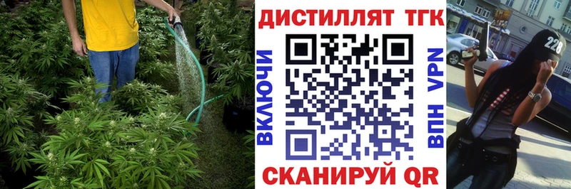 Купить где  Щигры  ТГК Wax 