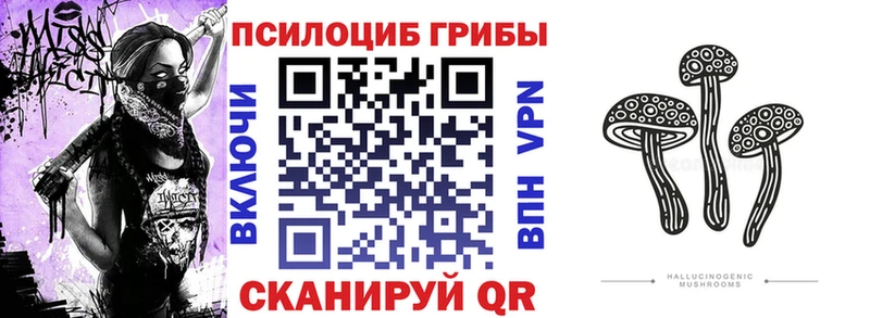 Галлюциногенные грибы Magic Shrooms  Купить закладки  Щигры 